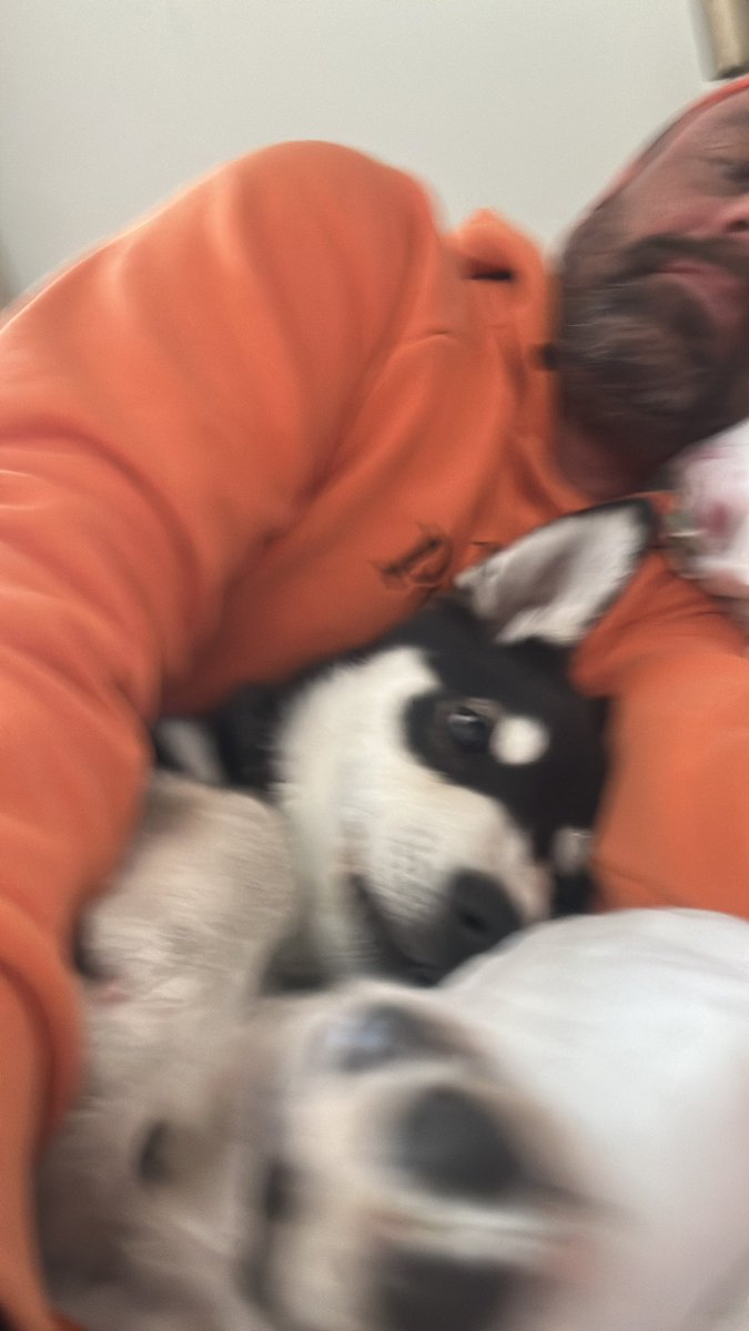 jakt i Tornedalen 🏳️‍🌈🫎 (@robert_ramstad) on Twitter photo 