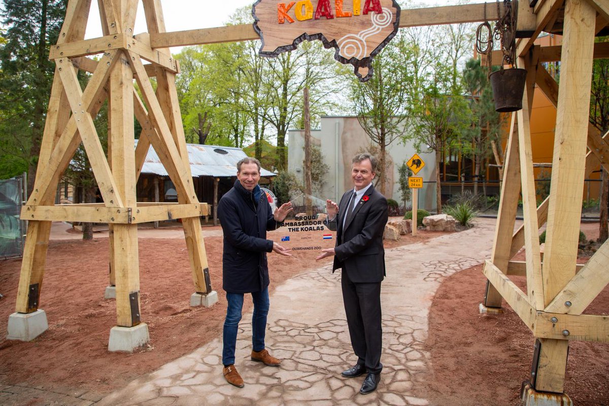 Welcome to 🇳🇱’s first koalas at @Ouwehand_Zoo Arru, Ngara & Leumeah! Our koalas don’t know this yet, but 🇦🇺and 🇳🇱 share a deep, strong, & diverse friendship. Ensuring their welfare is one more piece in the intricate mosaic of our friendship.🐨 #koaladiplomacy #zoo