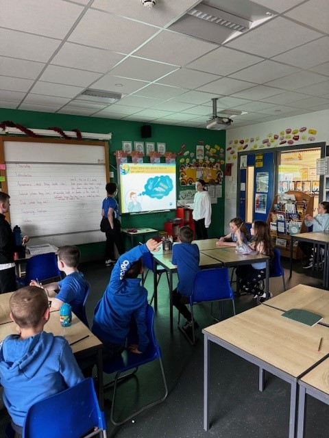 St. David's Primary tweet media