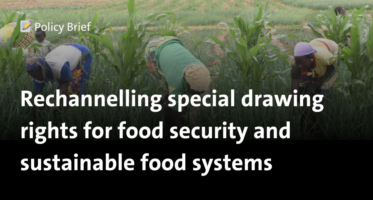 🌍 Ending global hunger by 2030 requires an additional $350 billion annually. 💵 Rechannelling the special drawing rights (#SDRs) issued by the IMF could help fill this large financial gap. 👉 bit.ly/3xOGIaq #SpringMeetings #IMFmeetings #WBGmeetings