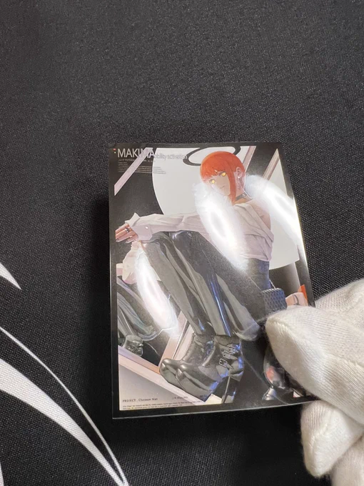 スリーブの実物⑩ 