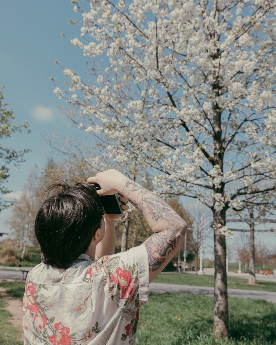 Talented film graduate Jasmine Stephenson has created stunning visuals that will feature in Simon Armitage’s band LYR's song Profusion. It's part of the @nationaltrust annual blossom campaign - read more and see where you can view >> bit.ly/3wg4Emy 📷Carol Lynn