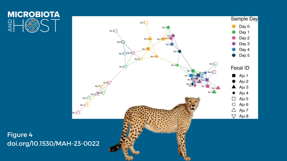 Microbiota and Host tweet media