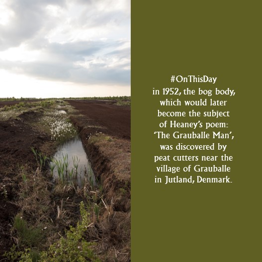 ‘The Grauballe Man’ is one of Heaney’s Bog Poems. He compares the barbaric treatment of the bog bodies to violence during the Troubles. He would have revelled in the recent bog body discovery near Bellaghy, Co. Derry! Image: The Bog of Allen by Richie Stokes is in the exhibition.