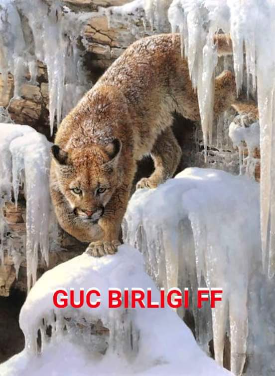 🇹🇷 Feza ASAN 🇹🇷 (@fzsnchp) on Twitter photo Takip ff♨️
<a href="/oz35q/">σƶ∂εɱเ૨</a>
<a href="/eci_68/">eco_68</a>
@Ky_psj
<a href="/em_ir01/">saudade</a>
<a href="/_mftn/">meftun🍀</a>
G <a href="/_bnyn/">✨Bünyamin ✨ (Önce insan)</a>
Ü<a href="/Krklm/">𝓗𝓪𝓴𝓪𝓷</a>
Ç<a href="/rncb_r/">berxwedan</a>
<a href="/nlf16/">NİLÜFER</a>
@R_zgr_
@R_z_gr
<a href="/1klb_/">🦋 KELEBEK 🦋</a>
<a href="/1A_k_f/">💫- 𝓐 𝓴 𝓲 𝓯 - 💫</a>
<a href="/SiirSL1/">🌬️@SiirSL1🎊🎊</a>
@reste_res
@ozdmq
@Krklm_
<a href="/__Libra1/">𝚂𝚞𝚏𝚒𝚊 𝚂𝚑𝚊𝚑🍁</a>
<a href="/Sblkhrm/">Sibel</a>
<a href="/nrnurgul/">¦~~NurgülTkn~~¦</a>
<a href="/265asi/">الحرب الفكريه</a>
@8bak9
@rcknczz
<a href="/irmken/">irem</a>
<a href="/Tunc__/">Gianluca</a>
@zpx44
<a href="/cylnkrca/">Ceylan Kırca 🇹🇷</a>
<a href="/fzsnchp/">🇹🇷 Feza ASAN 🇹🇷</a>
@cskyld
<a href="/SiirSL_/">𝗦𝗶𝗶𝗿𝗦𝗟_💣💯✌️💯✌️💯✌️</a>
@hir_a9
@Rskxw Takip ff♨️
<a href="/oz35q/">σƶ∂εɱเ૨</a>
<a href="/eci_68/">eco_68</a>
@Ky_psj
<a href="/em_ir01/">saudade</a>
<a href="/_mftn/">meftun🍀</a>
G <a href="/_bnyn/">✨Bünyamin ✨ (Önce insan)</a>
Ü<a href="/Krklm/">𝓗𝓪𝓴𝓪𝓷</a>
Ç<a href="/rncb_r/">berxwedan</a>
<a href="/nlf16/">NİLÜFER</a>
@R_zgr_
@R_z_gr
<a href="/1klb_/">🦋 KELEBEK 🦋</a>
<a href="/1A_k_f/">💫- 𝓐 𝓴 𝓲 𝓯 - 💫</a>
<a href="/SiirSL1/">🌬️@SiirSL1🎊🎊</a>
@reste_res
@ozdmq
@Krklm_
<a href="/__Libra1/">𝚂𝚞𝚏𝚒𝚊 𝚂𝚑𝚊𝚑🍁</a>
<a href="/Sblkhrm/">Sibel</a>
<a href="/nrnurgul/">¦~~NurgülTkn~~¦</a>
<a href="/265asi/">الحرب الفكريه</a>
@8bak9
@rcknczz
<a href="/irmken/">irem</a>
<a href="/Tunc__/">Gianluca</a>
@zpx44
<a href="/cylnkrca/">Ceylan Kırca 🇹🇷</a>
<a href="/fzsnchp/">🇹🇷 Feza ASAN 🇹🇷</a>
@cskyld
<a href="/SiirSL_/">𝗦𝗶𝗶𝗿𝗦𝗟_💣💯✌️💯✌️💯✌️</a>
@hir_a9
@Rskxw
