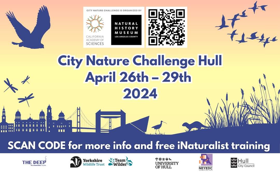 Did you know… from today to 29th April, it is the City Nature Challenge (CNC). The CNC is a global nature recording event happening across the world. To get involved scan the QR code. @Hullccnews @foakparkhull