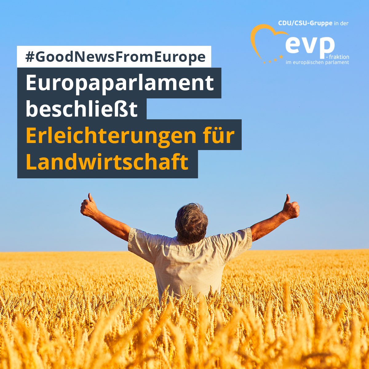 Das Europaparlament 🇪🇺 hat vielfältige Entlastungen für die #Landwirtschaft beschlossen. Jetzt liegt es an BM #Özdemir, die Beschlüsse in 🇩🇪 1:1 umzusetzen - auch gegen seine grünen Parteikollegen und Teile der SPD, die die Erleichterungen für die Landwirte im EP abgelehnt haben.