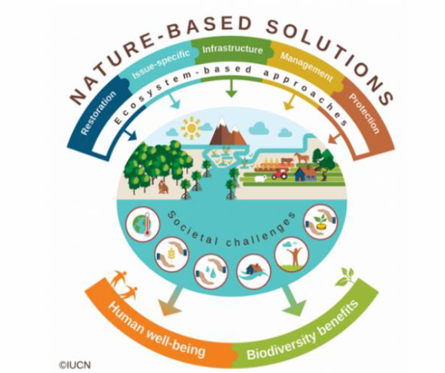 Nature-Based Solutions conference to focus on protecting and restoring Urban, Rural, Coastal and Riverine environments - Thursday May 16th in Dundalk Institute of Technology. Seelink below for more or to register for the event. lawaters.ie/one-day-confer… @teagasc @BlueDotWaters