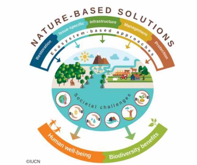 Local Authority Waters Programme (@watersprogramme) on Twitter photo Nature-Based Solutions conference to focus on protecting and restoring Urban, Rural, Coastal and Riverine environments - Thursday May 16th in Dundalk Institute of Technology. Seelink below for more or to register for the event.
lawaters.ie/one-day-confer… <a href="/teagasc/">Teagasc</a> <a href="/BlueDotWaters/">Blue Dot Catchments Programme</a> Nature-Based Solutions conference to focus on protecting and restoring Urban, Rural, Coastal and Riverine environments - Thursday May 16th in Dundalk Institute of Technology. Seelink below for more or to register for the event.
lawaters.ie/one-day-confer… <a href="/teagasc/">Teagasc</a> <a href="/BlueDotWaters/">Blue Dot Catchments Programme</a>