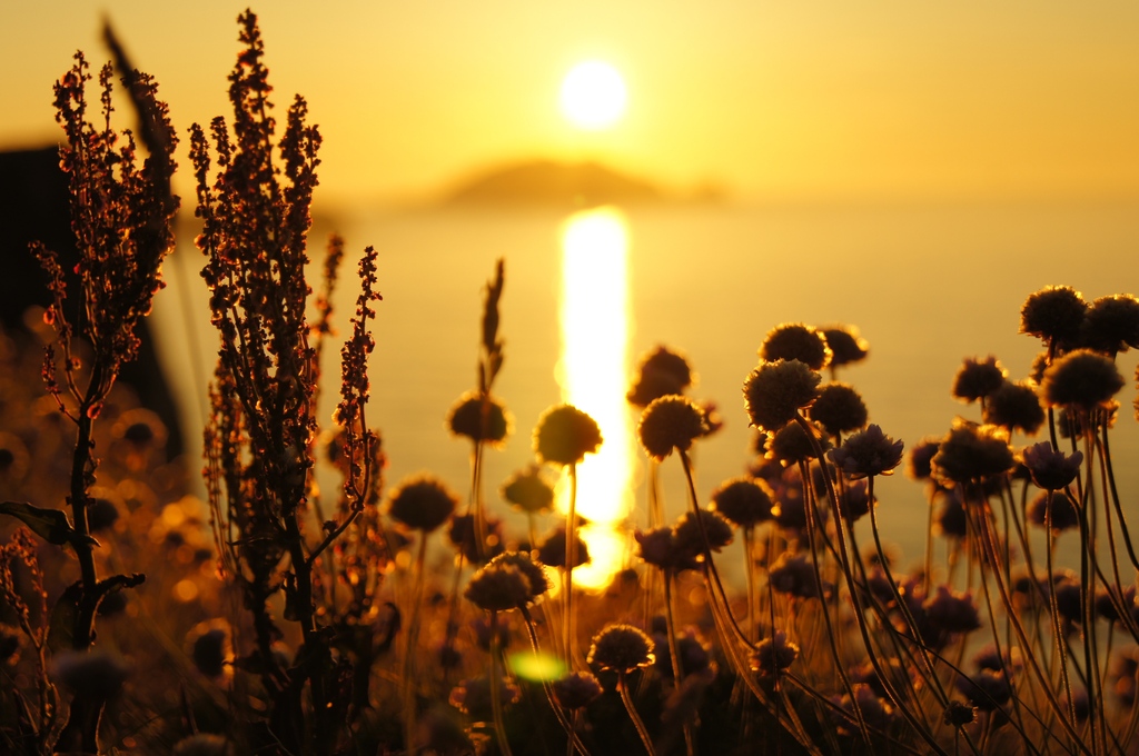 Silence is golden.

#tregarthens #islesofscilly #visitscilly