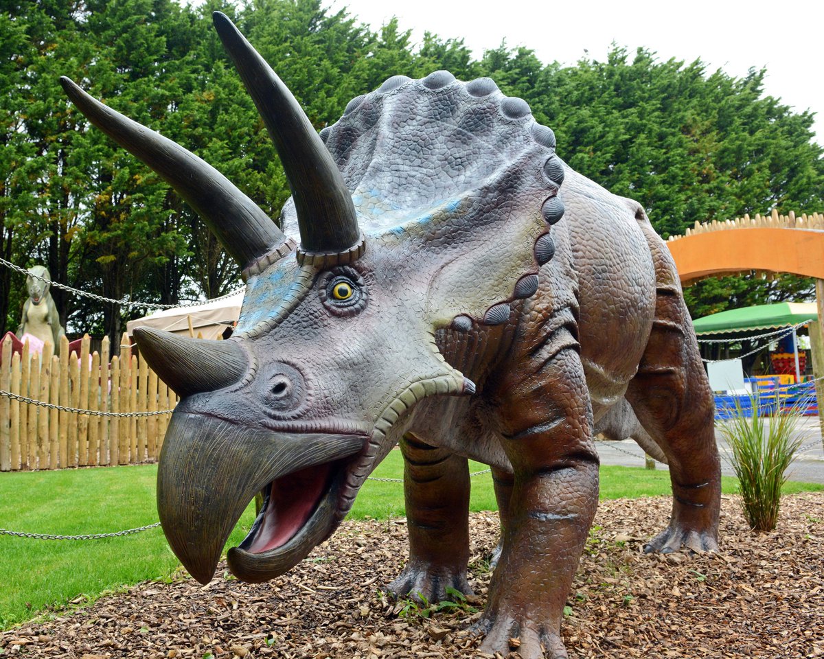 Follow in the footsteps of a dino hunter (if you're brave enough!)

Spot life-sized dinosaurs and unearth fossilised remains as you explore Jurassic Journey.

Always check opening times ahead of booking!