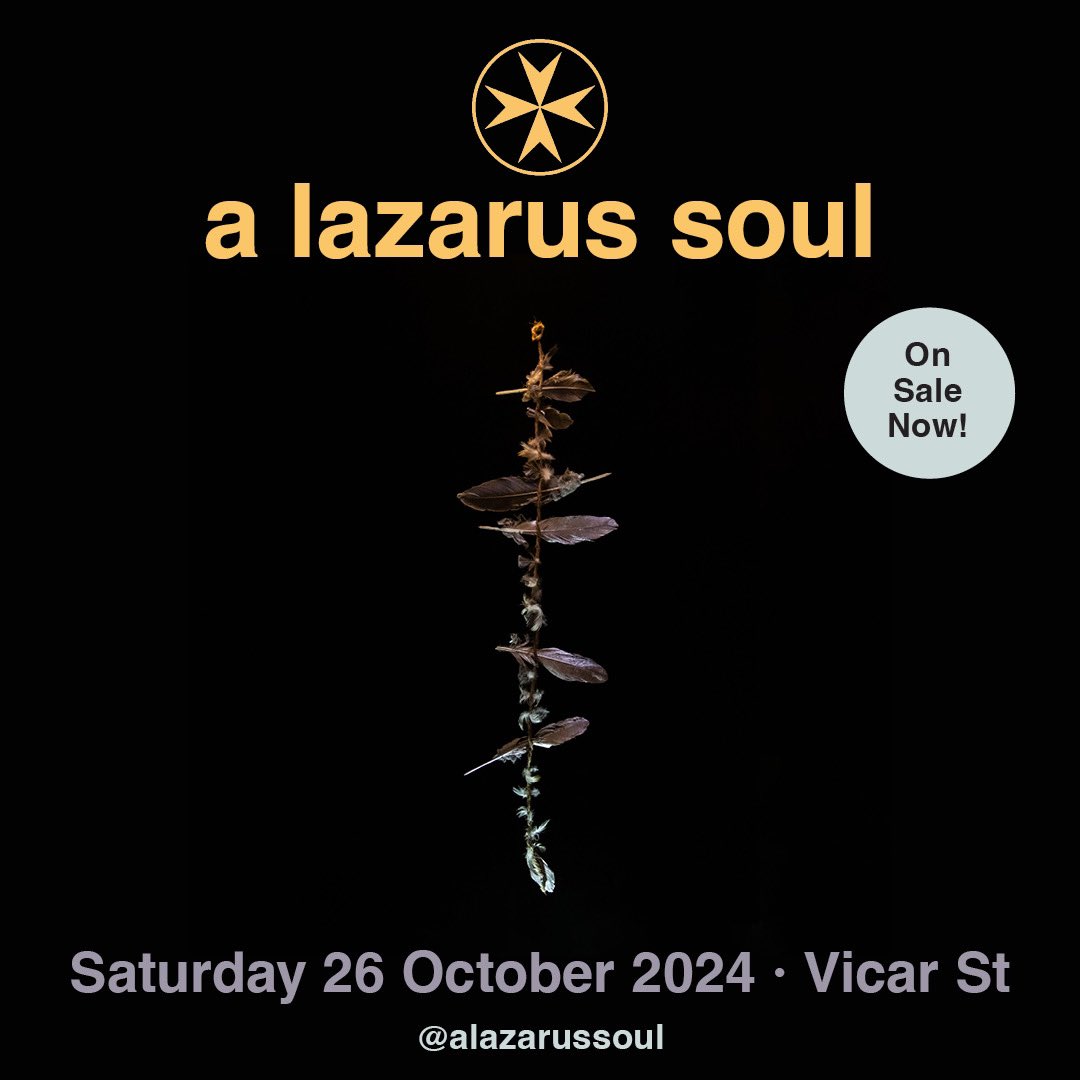 Tickets for our show in @Vicar_Street on the bank holiday Saturday October 26th are on sale now! 

🎟️: bit.ly/4aS1xA6