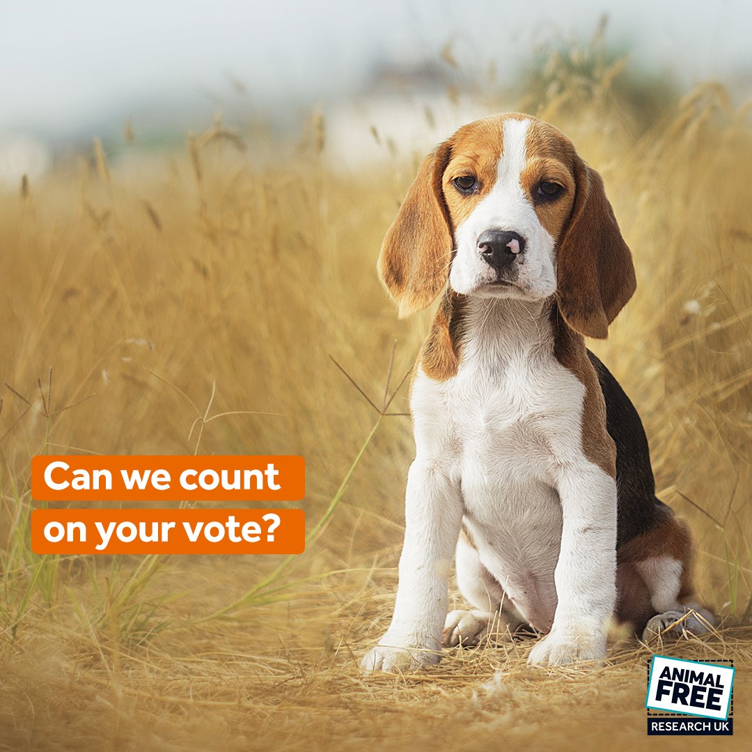 *** Last day to vote for Animal Free Research UK for our chance to win £5,000! *** The @benefactgroup have a Health Special Draw giving 10 charities £5,000 each. Nominate - health.movementforgood.com/#nominateAChar… Our UK charity number - 1146896