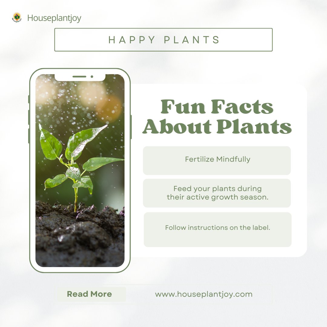 Unlock the secrets of mindful fertilization for your plants! Visit our website: tinyurl.com/2xqugtv4

#FertilizerTips #PlantNutrition #HealthyGrowth