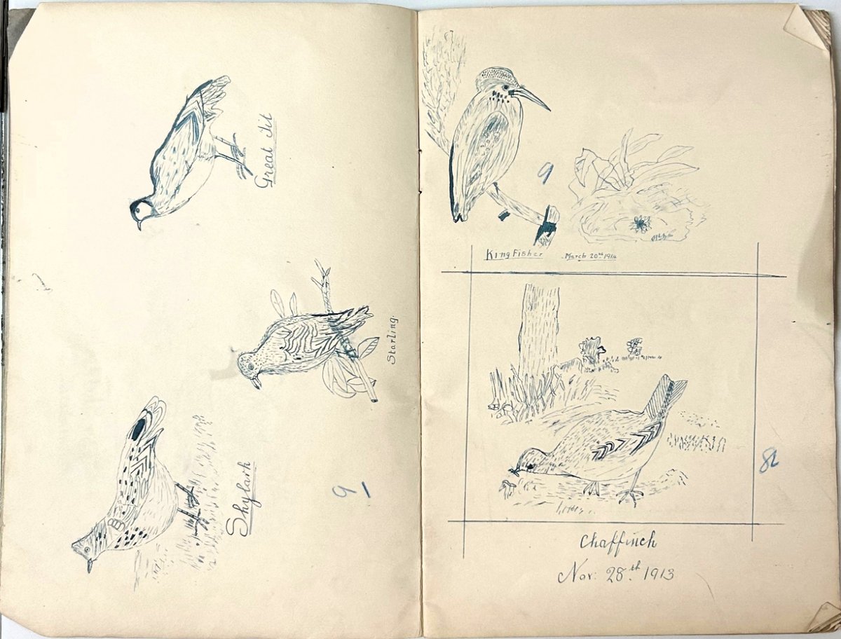 These charming sketches of birds were drawn by a 12 year old pupil at Broxbourne School in 1913-1914 (DE/X785/13). We love the detail and the careful observation!