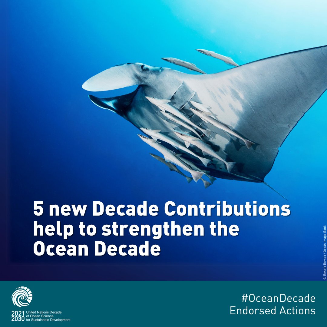 We're excited to announce 5⃣ new Decade Contributions as part of our second batch of newly-endorsed Actions of the year! Decade Contributions provide vital in-kind or financial resources for the #OceanDecade. See how these new Contributions support key ocean research areas 🧵