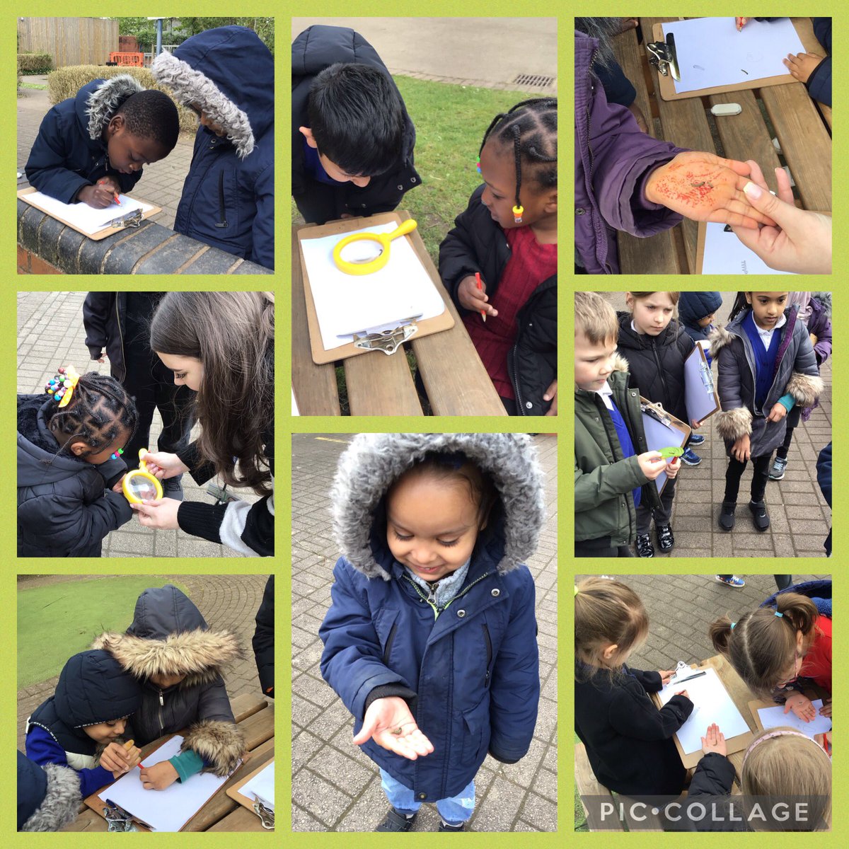 #Team2B and #TeamNursery have been working together this morning to find and complete observational caterpillar drawings 🐛💙 
#WalesOutdoorLearningWeek