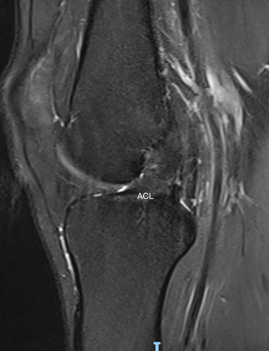 James Noake tweet media