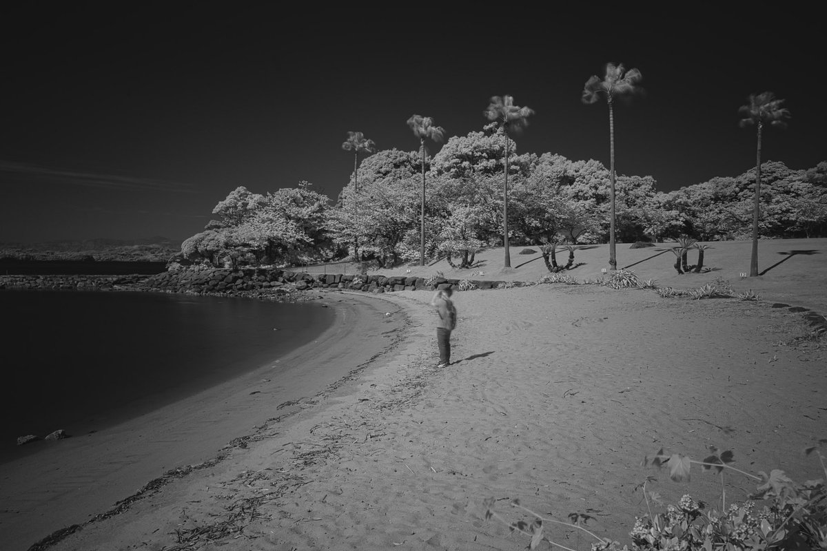 Infrared

#bnwphotography #momocrhorme
#monochromephotography #モノクロ写真 #モノクローム