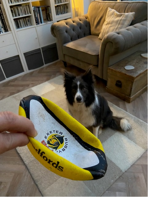 Interesting evening last night with Merlin explaining to me what actually happened to his small FREE rugby ball from Bradfords. #writingcommunity #amwriting #booktwitter #bookx
#bordercollie #colliesoftwitter #lovecollies #authordogs #xdogs #xcollies #readingcommunity