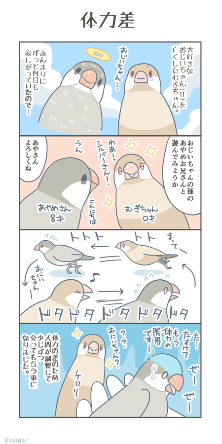 体力差。

#漫画が読めるハッシュタグ #Buncho #文鳥 