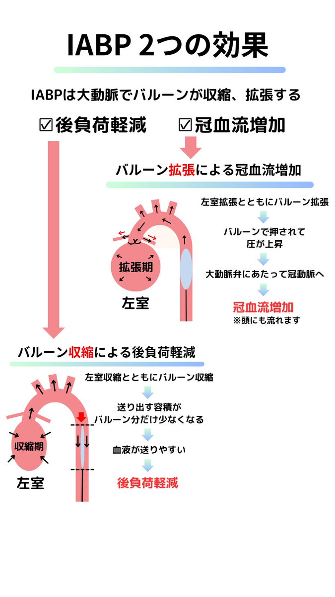 本日は【IABP】の効果を一枚で解説！

・ICU1年目です！
・教科書だと難しい…。
って人は見てください。
新人の看護師さんやCEさんに役立てて頂きたいです。
参考になったらいいね、リポストお願いします！
インスタのce.mikataもよろしくです🙇‍♂️

#臨床工学技士 #集中治療