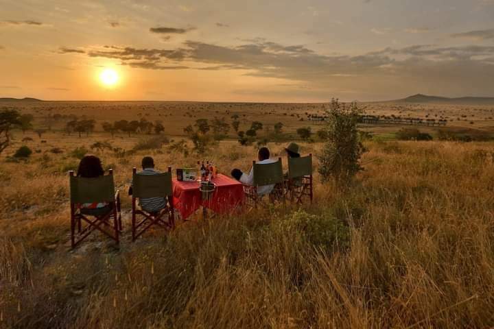 Flighttofancy's tweet photo. 🚉 Saltlick Safari Lodge SGR Package

🔸3 Days 2 Nights Safari

Economy Package
✔️Kshs  32,000 per person sharing
✔️Kshs 41,000 per person in a Single Room 

Call/WhatsApp +254780921735 for bookings

#magicalkenya #kenya #safari #tembeakenya #tsavo #wildlife #travel #tourism https://t.co/ok1JbQsoOC