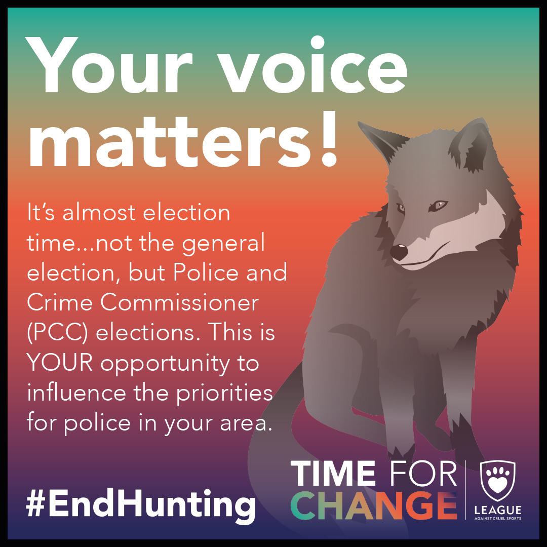 It’s almost election time...not the general election, but Police and Crime Commissioner elections. This is YOUR opportunity to influence the priorities for police in your area 🚨 Read our blog to learn more: leagueacs.co.uk/f1Blp #LeagueAgainstCruelSports #PCCelections