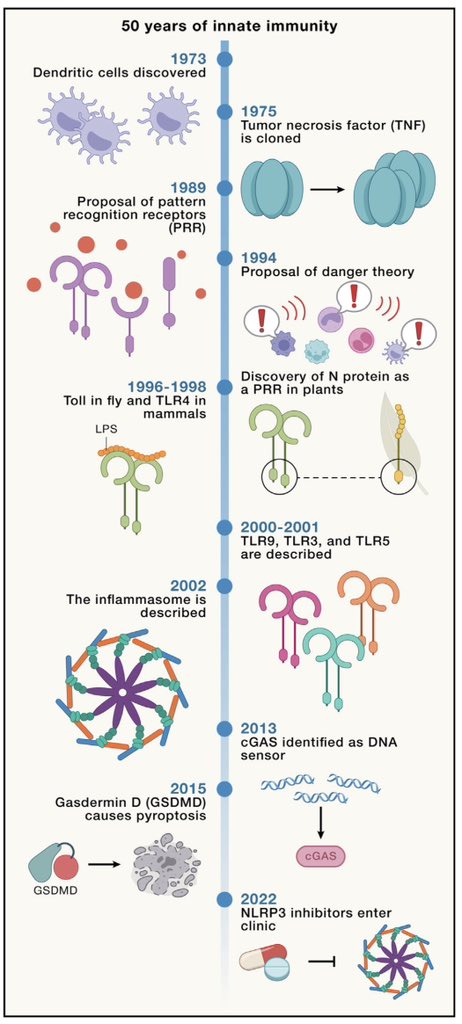 Just published as part of Cell’s 50th anniversary- co-authored with Susan Carpenter From Periphery to Center Stage: 50 years of Advancements in Innate Immunity 

Open Access:
authors.elsevier.com/sd/article/S00…