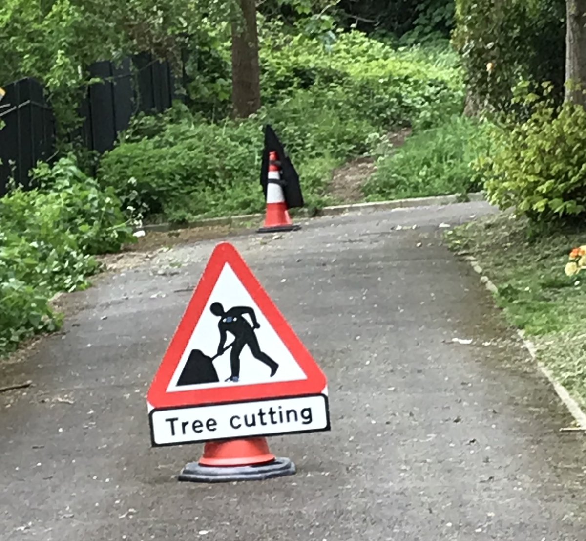 Paul Terence Carney (@paul_scribbles) on Twitter photo This in Camberwell New Cemetery yesterday. Along with a lot of not-so-distant chainsaw noise. Awaiting an email response from <a href="/lb_southwark/">Southwark Council</a> concerning why this has to happen at the peak of the nesting season…
<a href="/SouthwarkWoods/">Camberwell Cemeteries</a> This in Camberwell New Cemetery yesterday. Along with a lot of not-so-distant chainsaw noise. Awaiting an email response from <a href="/lb_southwark/">Southwark Council</a> concerning why this has to happen at the peak of the nesting season…
<a href="/SouthwarkWoods/">Camberwell Cemeteries</a>