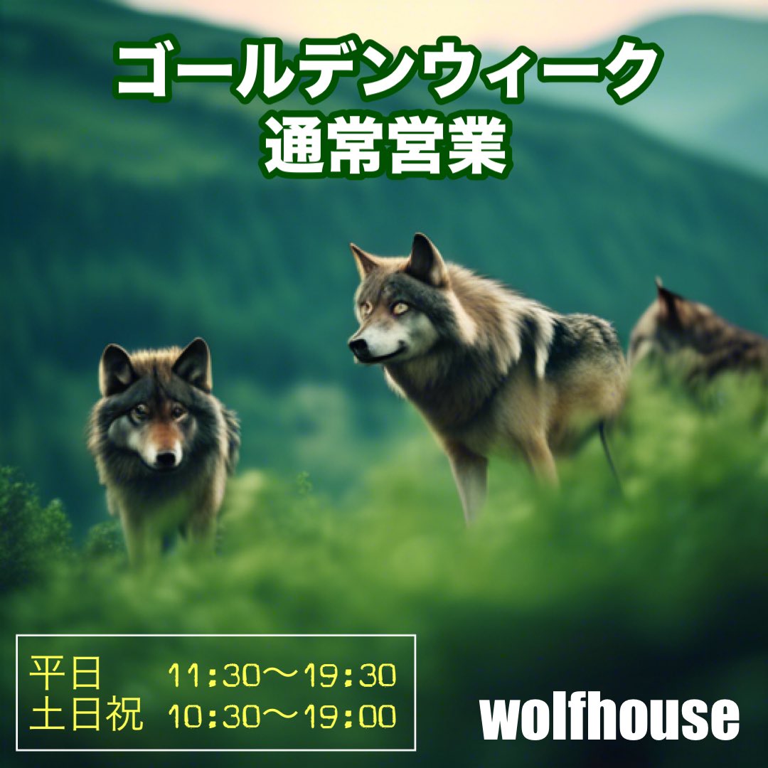 ウルフハウスはGW期間中も休まず営業🐾
旅行やレジャーの準備に。
ウルフハウス吉祥寺店舗へ行ってみよう♪

2024春夏新作アイテム揃ってます
wolfhouse2.jp/phone/

#ウルフハウス #ジャックウルフスキン #アウトドア #キャンプ #登山 #犬 #狼