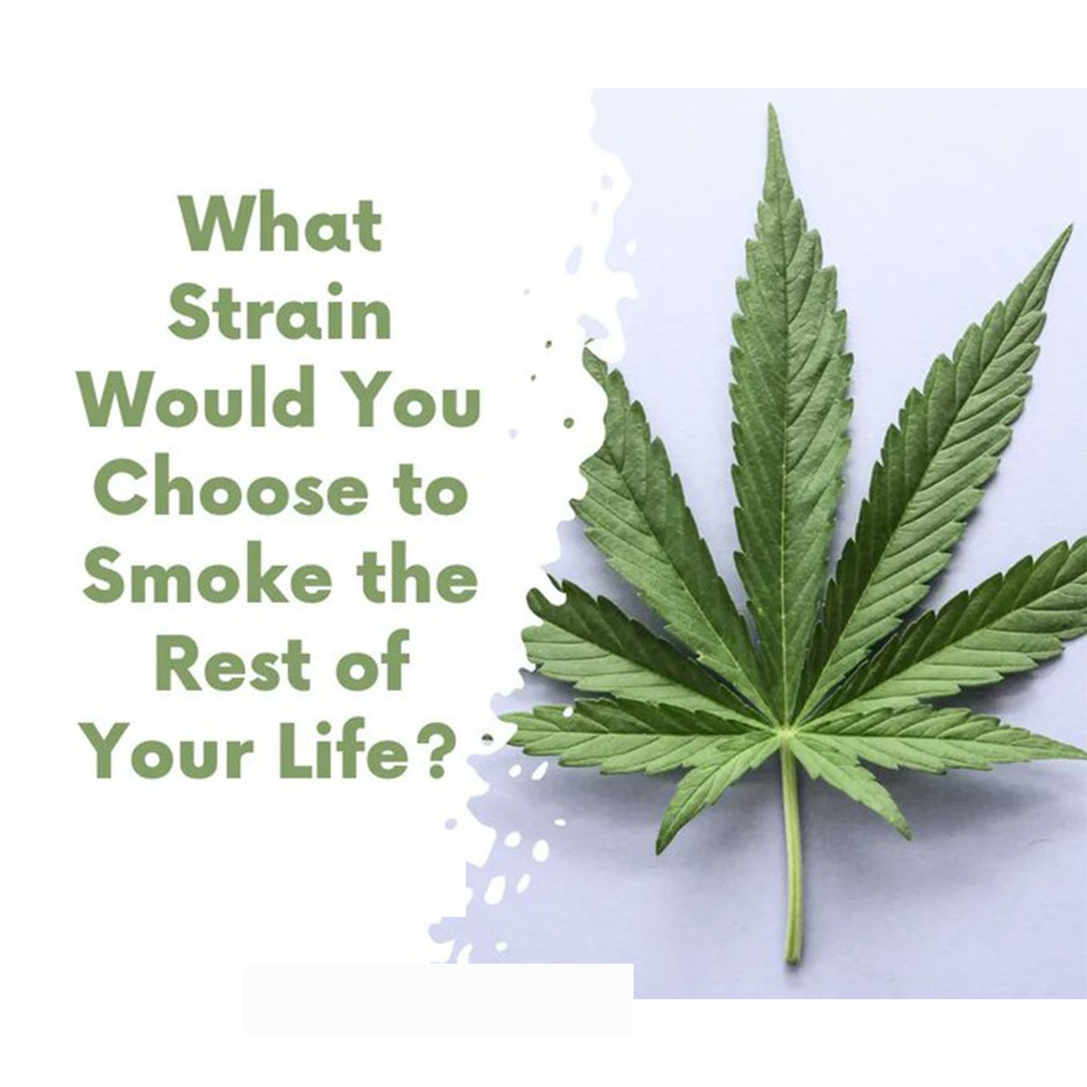 What strain would you choose to smoke the rest of your life?