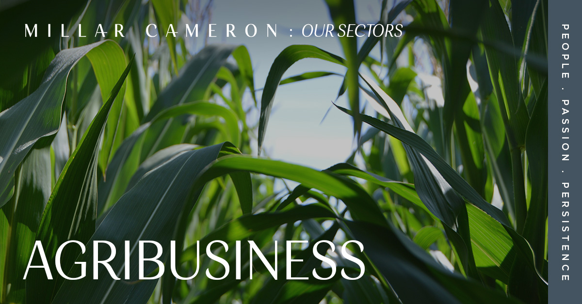 Our team is widely regarded as the leading executive search partner for agribusinesses in Africa. Download our sector brochure to find out more 🔗 millarcameron.com/media/hkpbxqa0…