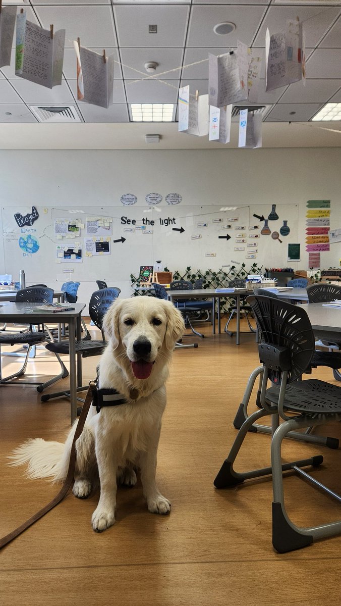 Year 3 | The Arbor School tweet media