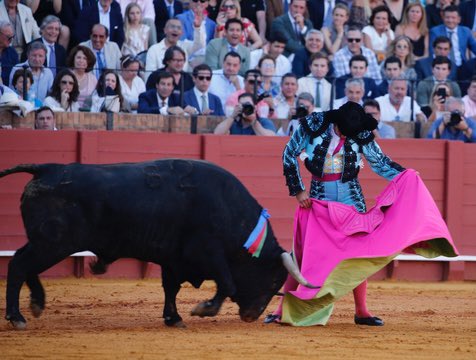 ✨Se cumple un año de unos mayores logros en la historia del toreo. 👉🏼Morante de la Puebla corta el rabo de “Ligerito”, de Domingo Hernández, en la Real Maestranza de Caballería de Sevilla.