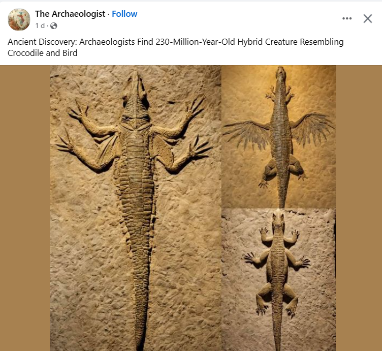 Facebook 'science' pages are now AI-generating fake fossils to report on!