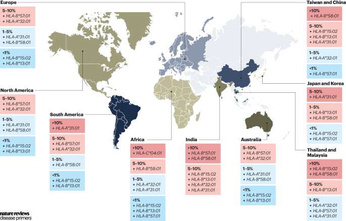 The prevalence of HLA risk alleles varies significantly by region, with high prevalence rates in South and Southeast Asia. go.nature.com/3Qkfw9Q