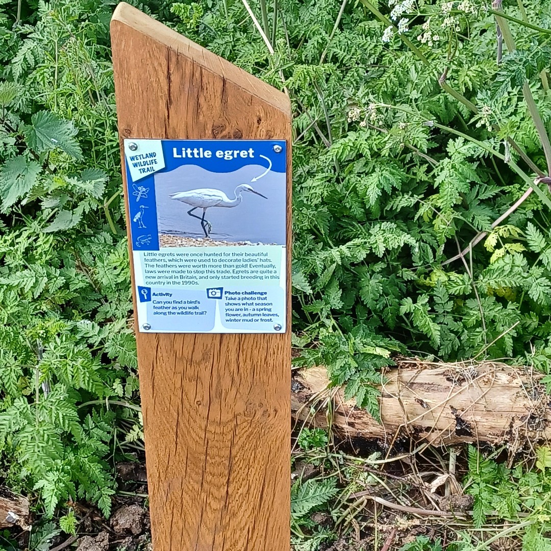 This week we have continued to add plants to Chamber Mead wetlands after a wonderful launch event last Saturday. On Wednesday a dozen volunteers put 2,500 plants around the edges of the wetlands, in Ewell. Why not explore the wetlands this weekend? ow.ly/z35K50RnPQ9