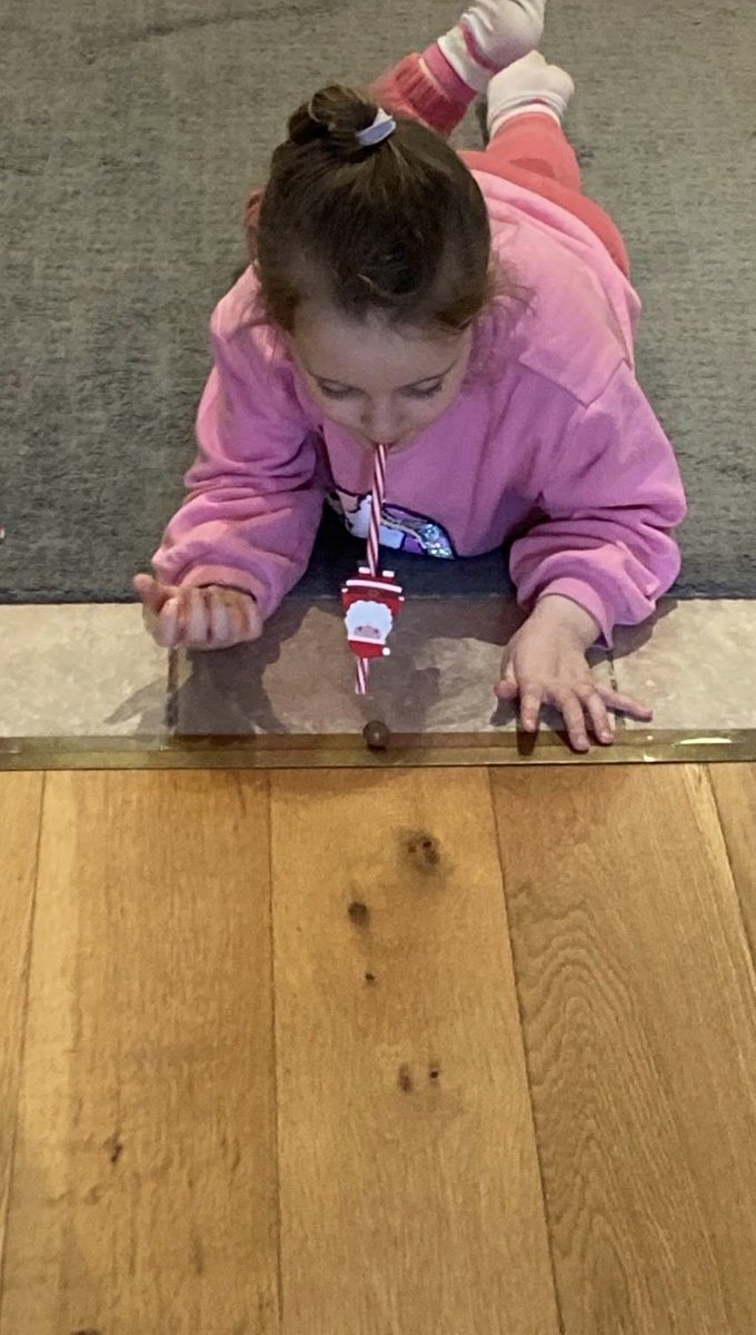 Emmanuelle (11), Sam (9) and Faith (4) trying out the huff and puff experiment from #BigBadWolfInvestigatesFairyTales @CatCawthorne #saraogilvie @KidsBloomsbury but they got nowhere near the world record quoted in the book #RedReadingHub review here wp.me/p11DI5-ccs