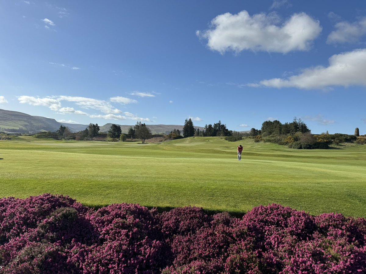 Graham Riley tweet media