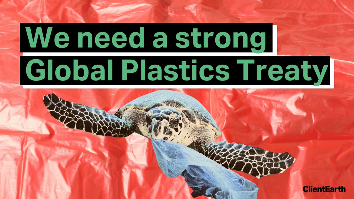 Right now, the Global Plastics Treaty is going through a crucial round of negotiations in Ottawa. It could be a vital step towards a world with no plastic pollution. 1/6