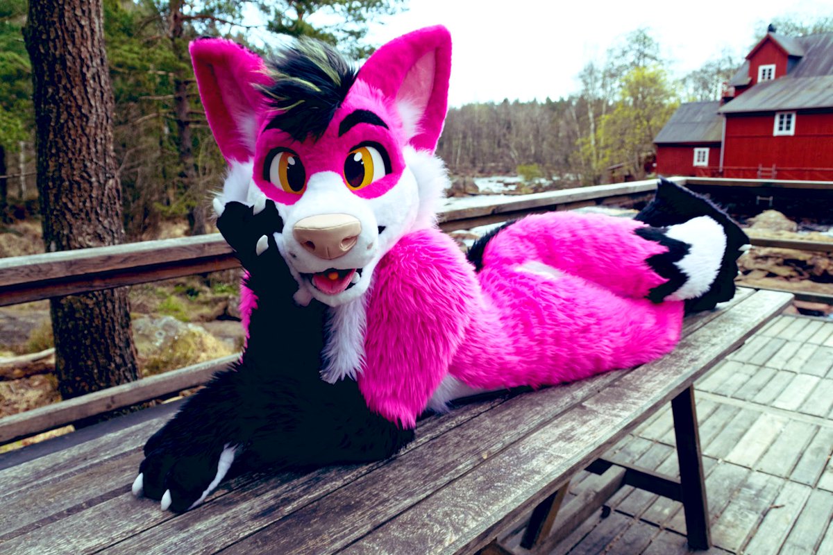 Kizz (@kieranandkizz) on Twitter photo Hello and happy #FursuitFriday everyone!
I’m very busy right now with university assignments as I’m going to be graduating soon, but I’m really excited and I’ve already been practicing as a trainee which I’m super proud of!
I wish you all a good weekend! 💕🦊
📷: <a href="/TanorTheWolf/">Tanor the Wolf</a> Hello and happy #FursuitFriday everyone!
I’m very busy right now with university assignments as I’m going to be graduating soon, but I’m really excited and I’ve already been practicing as a trainee which I’m super proud of!
I wish you all a good weekend! 💕🦊
📷: <a href="/TanorTheWolf/">Tanor the Wolf</a>