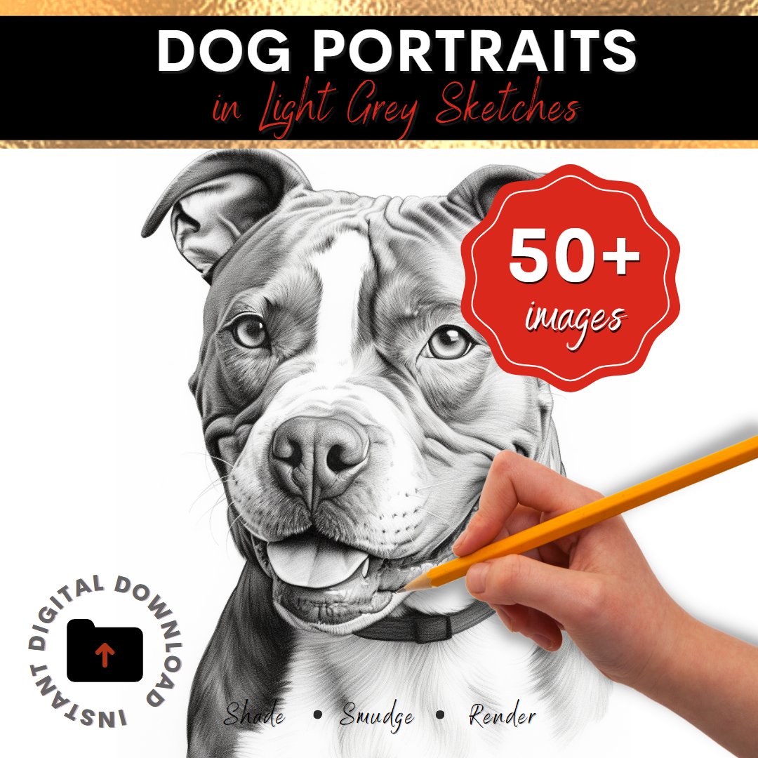Draw 50+ Furry and Friendly Dog Portraits INSTANT Download: dcartspress.etsy.com/listing/156783… #pencildrawing #realisticdrawing #dogportraits #beginnerartist