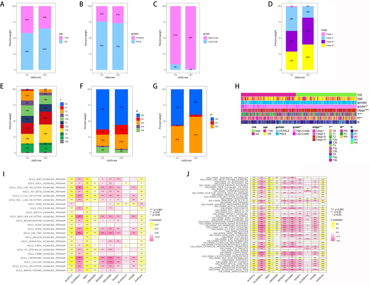 This study emphasizes #CAFs' crucial role in #bladdercancer progression and prognosis, identifying biomarkers and developing a prognostic model. Online: oaepublish.com/articles/2394-… PDF: f.oaes.cc/xmlpdf/af939a3…