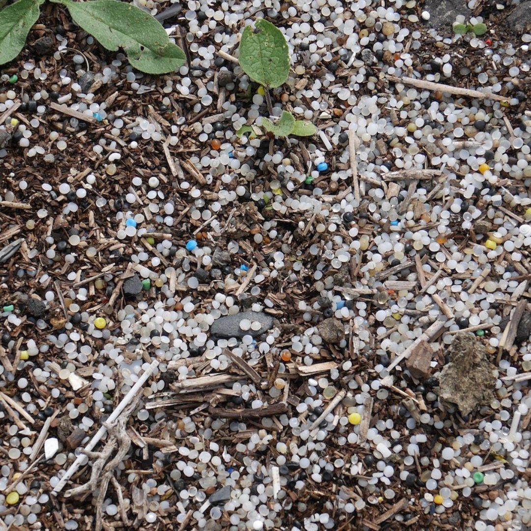 #PlasticPellets are a primary plastic AND a source of plastic pollution! Plastic pellet pollution is preventable. It's essential the #PlasticsTreaty addresses this major global source of upstream, primary plastic pollution. 📸credit: Tina Hens #INC4 #nurdles #plastic #pollution