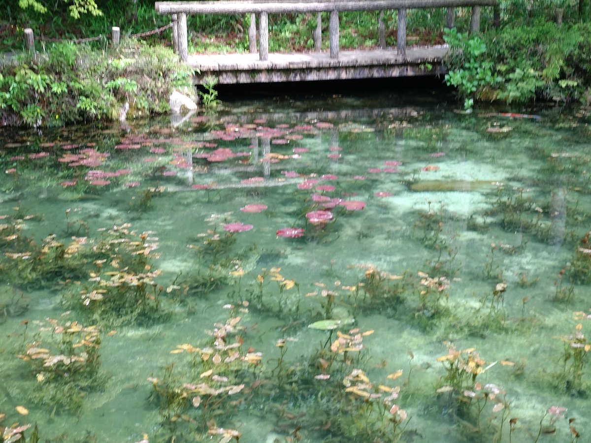 國田家の芝桜を観に行ってきました。ちょっと遅かったかな…

帰りに名もなき池。明日からはすごい人が来るのでしょうね。