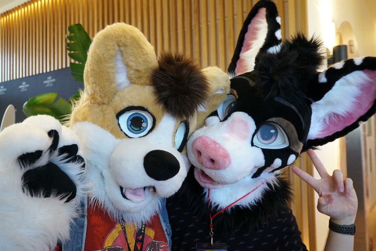 Few of my favourite pics from the DU ❤️

📸 <a href="/Its_Toor_98/">Toor Squirrel</a> <a href="/Zios_Wolf/">Zios</a>