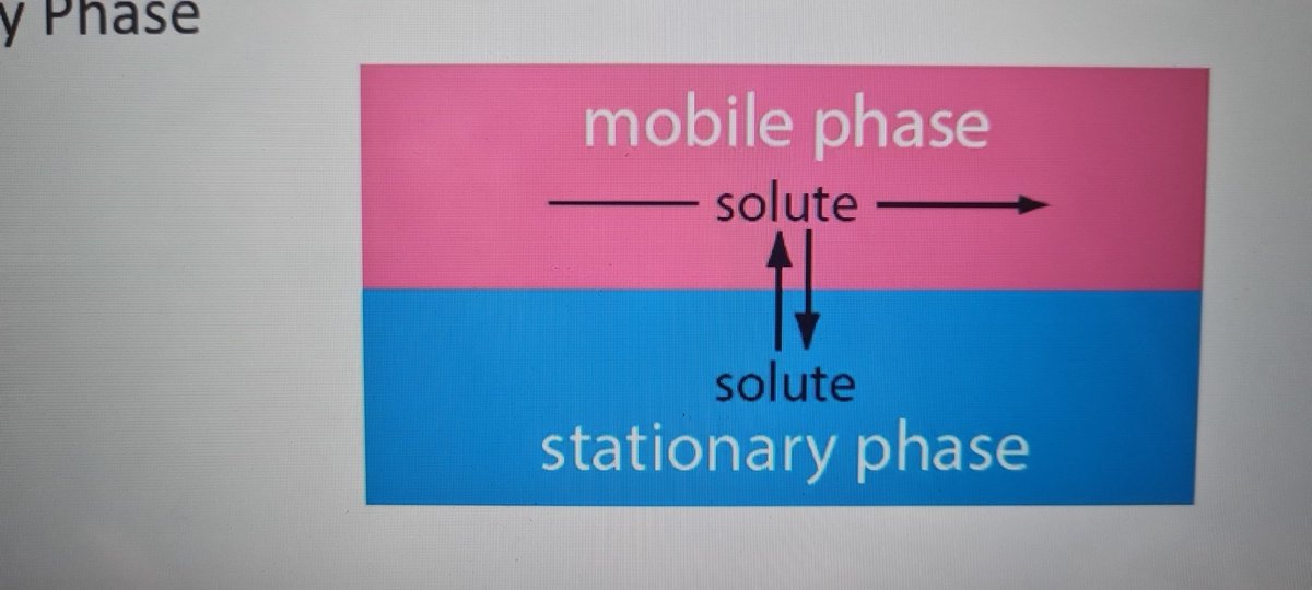 bisexuality in chromatography