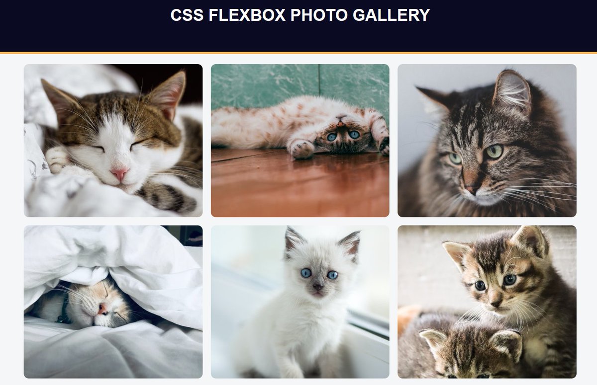 Singh_Nishant25's tweet photo. Mastered CSS flexbox today and built a sleek cat photo gallery! From centering images to responsive layouts, flexbox made styling a breeze. #CSSFlexbox #freecodecamp @ossia @CSSCorner 
 https://t.co/oxNsg9ESD0 https://t.co/p4u84qWtck