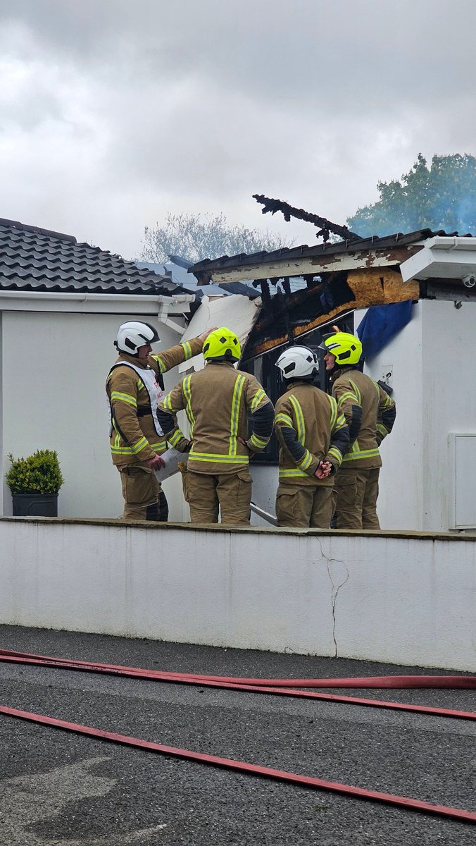 Toni Dowrick tweet media